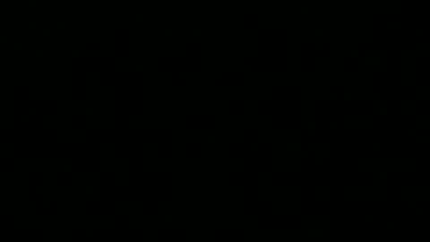 Snapshot of 0815____pet chatting on 12-16-25, 09:53 Peter online show from 12-16-25, 09:53