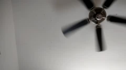 luv to cum online show from 03-06-26, 03:52