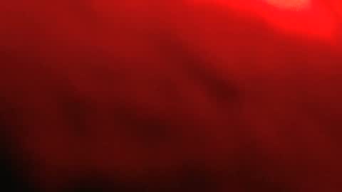 rockhead1953 online show from 02-12-26, 12:00