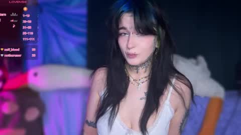 Teya online show from 04-24-26, 07:11