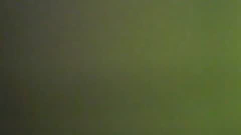 Deluxepussy online show from 01-09-25, 05:11