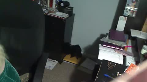 Susan online show from 12-19-25, 01:01