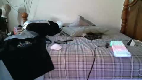 247dic online show from 05-11-26, 08:17