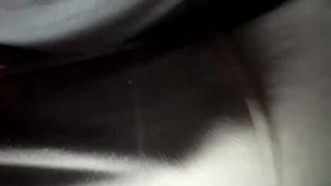 24robin online show from 02-05-26, 08:46