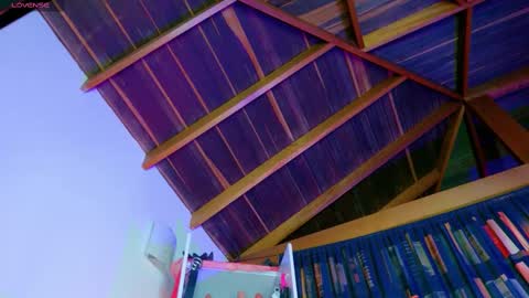 Snapshot of 2diamond_eyes chatting on 10-02-25, 03:46 Arianna online show from 10-02-25, 03:46