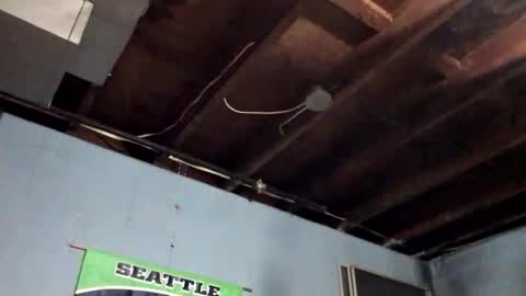 33adidas online show from 11-09-25, 12:25