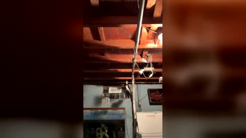 33adidas online show from 03-25-26, 08:20