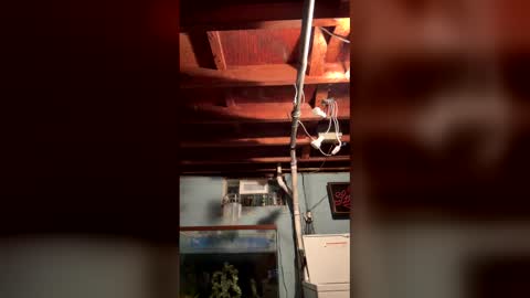 33adidas online show from 03-26-26, 08:20