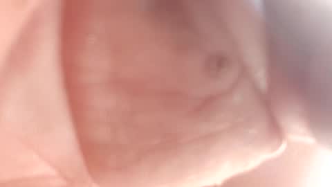 Thisguy online show from 02-12-25, 07:24