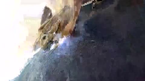 3X NAXAA online show from 01-16-26, 01:59