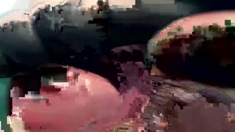 420_johnnystamina online show from 02-15-25, 04:45