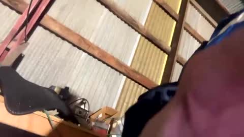 420danny online show from 02-24-25, 03:44