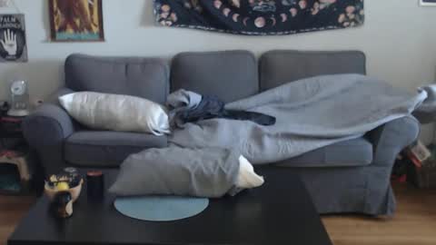 Snapshot of 420randomguy chatting on 03-13-26, 01:07 Anomander Rake online show from 03-13-26, 01:07