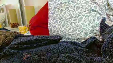 Daddy online show from 01-31-26, 07:11