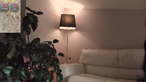 Sunshine online show from 07-20-26, 04:38