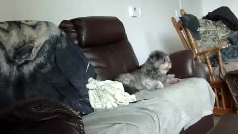 Snapshot of 66bear chatting on 12-21-25, 02:02 66bear online show from 12-21-25, 02:02