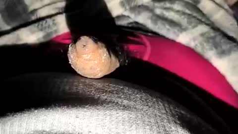 69angel96 online show from 12-23-25, 06:33