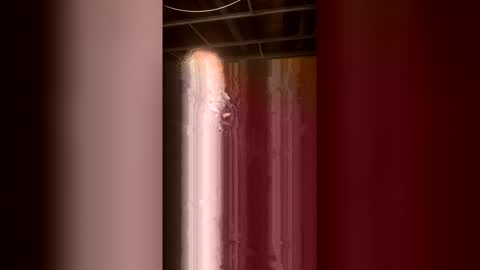 69bidam online show from 05-02-26, 10:31