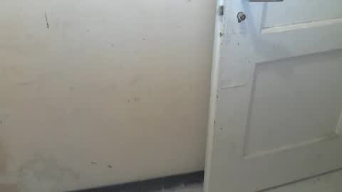 69pifpaf online show from 01-31-25, 02:17