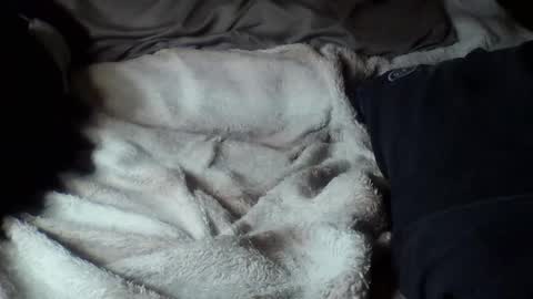 8675309r2d2 online show from 09-16-25, 09:10