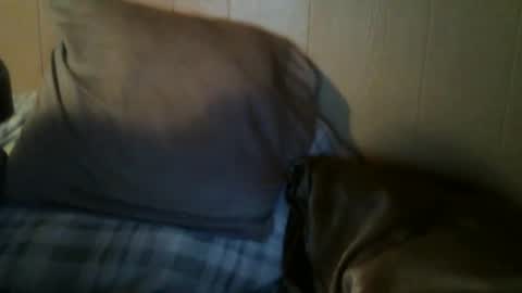 8675309r2d2 online show from 09-30-25, 07:57