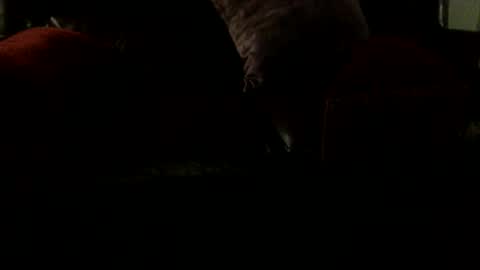 8inchjo online show from 02-09-26, 06:39