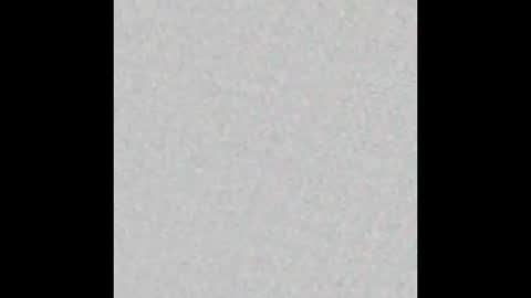 8Inchpunkpup online show from 03-27-26, 07:57