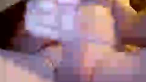Invictus hornydad online show from 07-05-26, 04:36