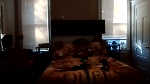KittyPoo107 online show from 06-03-26, 11:57