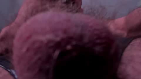 _adamcoper_ online show from 10-25-25, 03:40