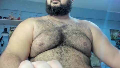 Snapshot of _alan_bear_ chatting on 01-17-25, 11:17 Alan online show from 01-17-25, 11:17
