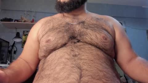 Snapshot of _alan_bear_ chatting on 01-28-25, 02:31 Alan online show from 01-28-25, 02:31