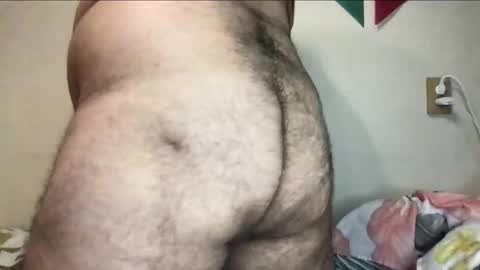 Snapshot of _alan_bear_ chatting on 11-03-25, 06:09 Alan online show from 11-03-25, 06:09