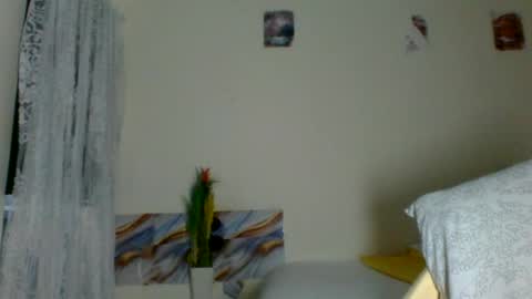 clara online show from 07-06-26, 07:27