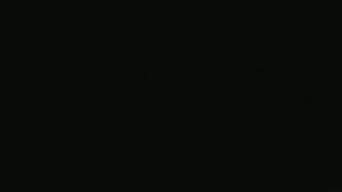 Dani online show from 10-17-25, 08:44