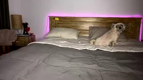 elisa online show from 12-15-25, 08:07