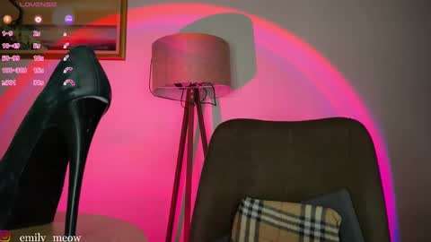 Snapshot of _emily__sweety_ chatting on 03-07-25, 02:34 Emily online show from 03-07-25, 02:34