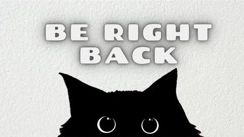 Snapshot of _enni__ chatting on 01-19-25, 11:34 Sam online show from 01-19-25, 11:34