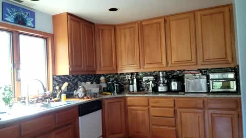 Frankie Rivers allmylinks  online show from 03-06-25, 10:58