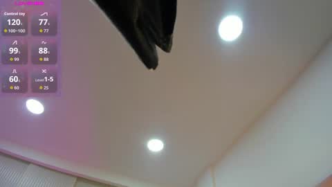Jasmine online show from 06-13-26, 11:30