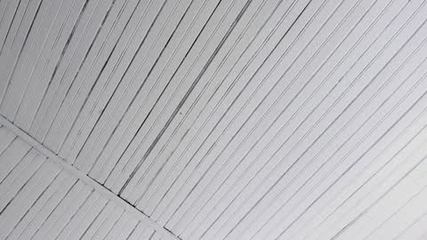 Ivy 3 online show from 12-07-24, 05:04