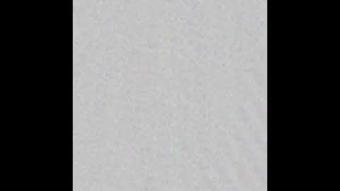 _maccaa_ online show from 01-10-26, 11:23