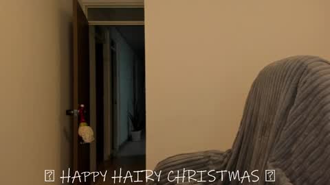 _miss_coco_ online show from 12-25-24, 12:48