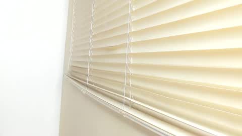 _molly_rosse_ online show from 11-21-25, 11:53