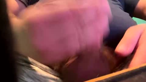 _peterson_ online show from 01-15-25, 10:24