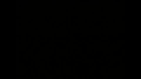 Melisa online show from 01-04-25, 10:05