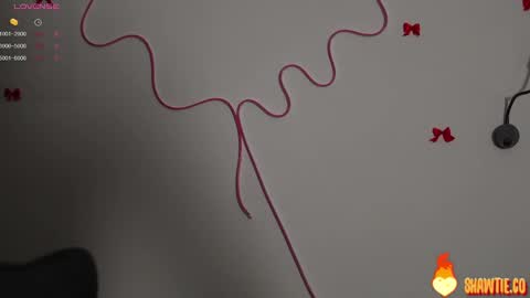 Taylor online show from 02-15-25, 09:38