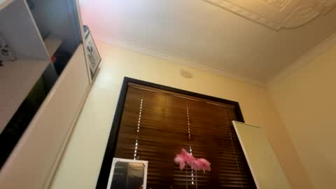 _turb0_tr4sh_ online show from 06-06-26, 03:00