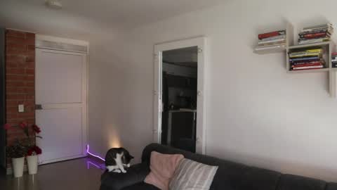 Anastasia Vahos online show from 05-14-26, 05:20