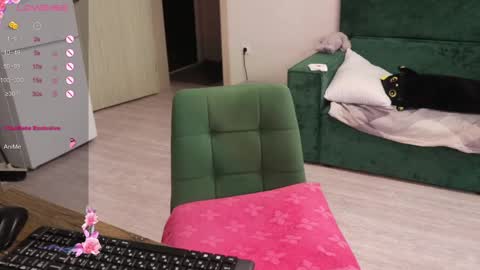 Alis online show from 12-30-24, 11:26